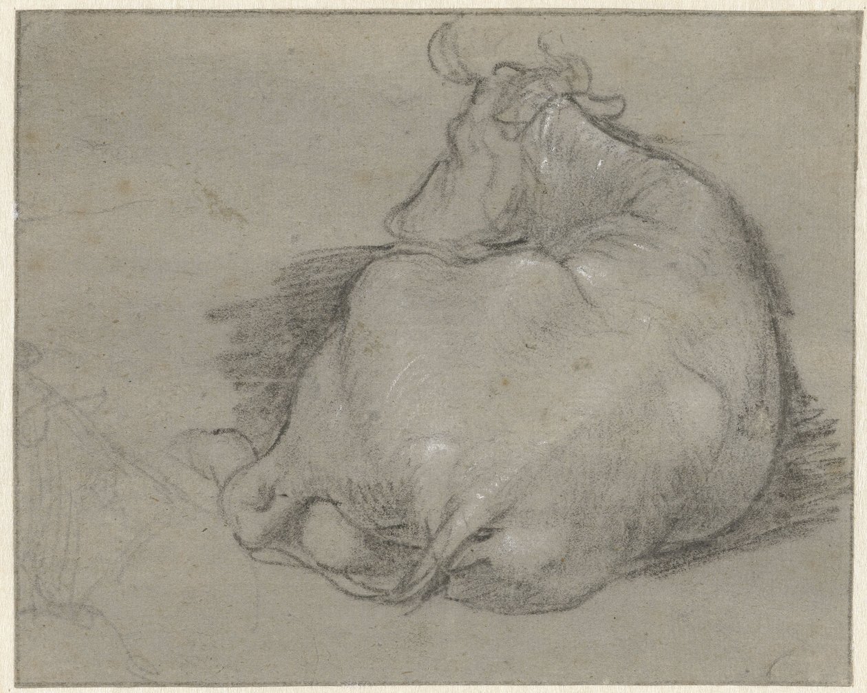 Lying Cow, Seen from Behind by Anonymous