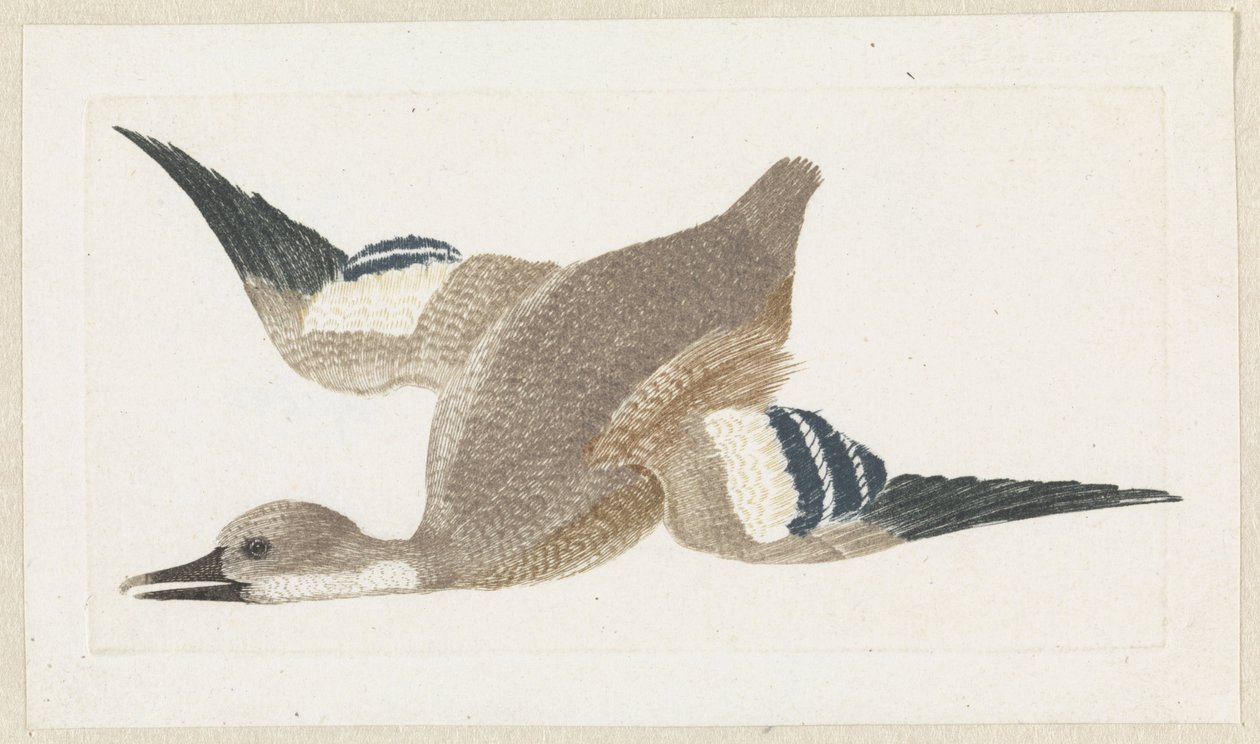Duck Flying to the Left by Anonymous