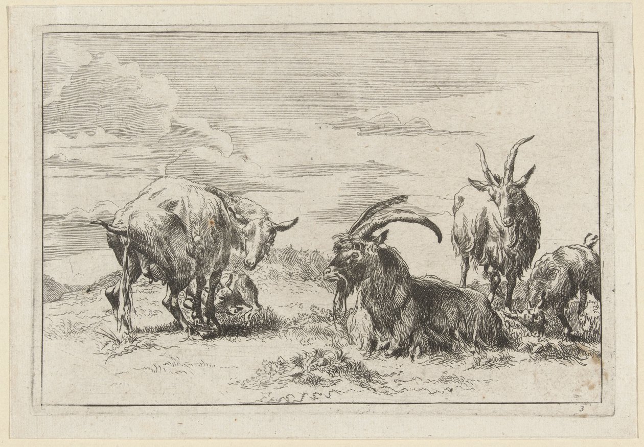 Pissing Ewe with Three Goats by Anonymous