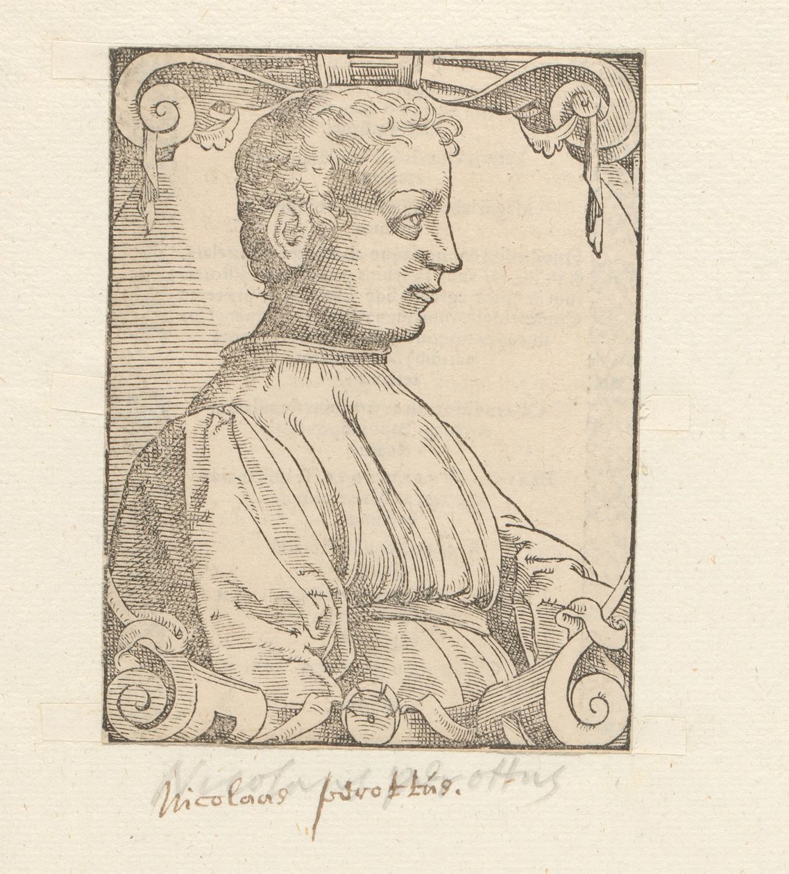 Portrait of Niccolò Perotti by Anonymous