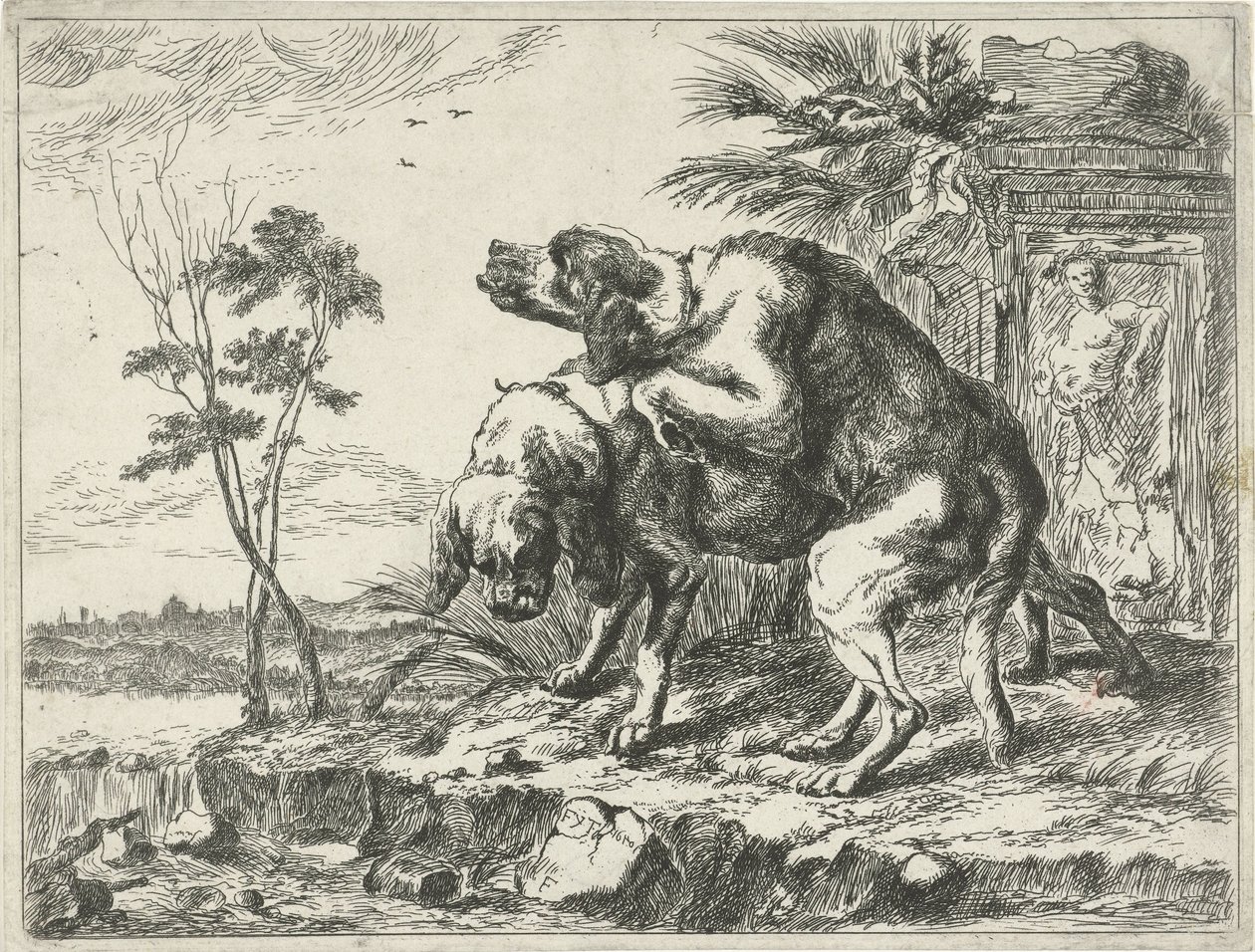 Two Mating Dogs (Dogs) by Anonymous