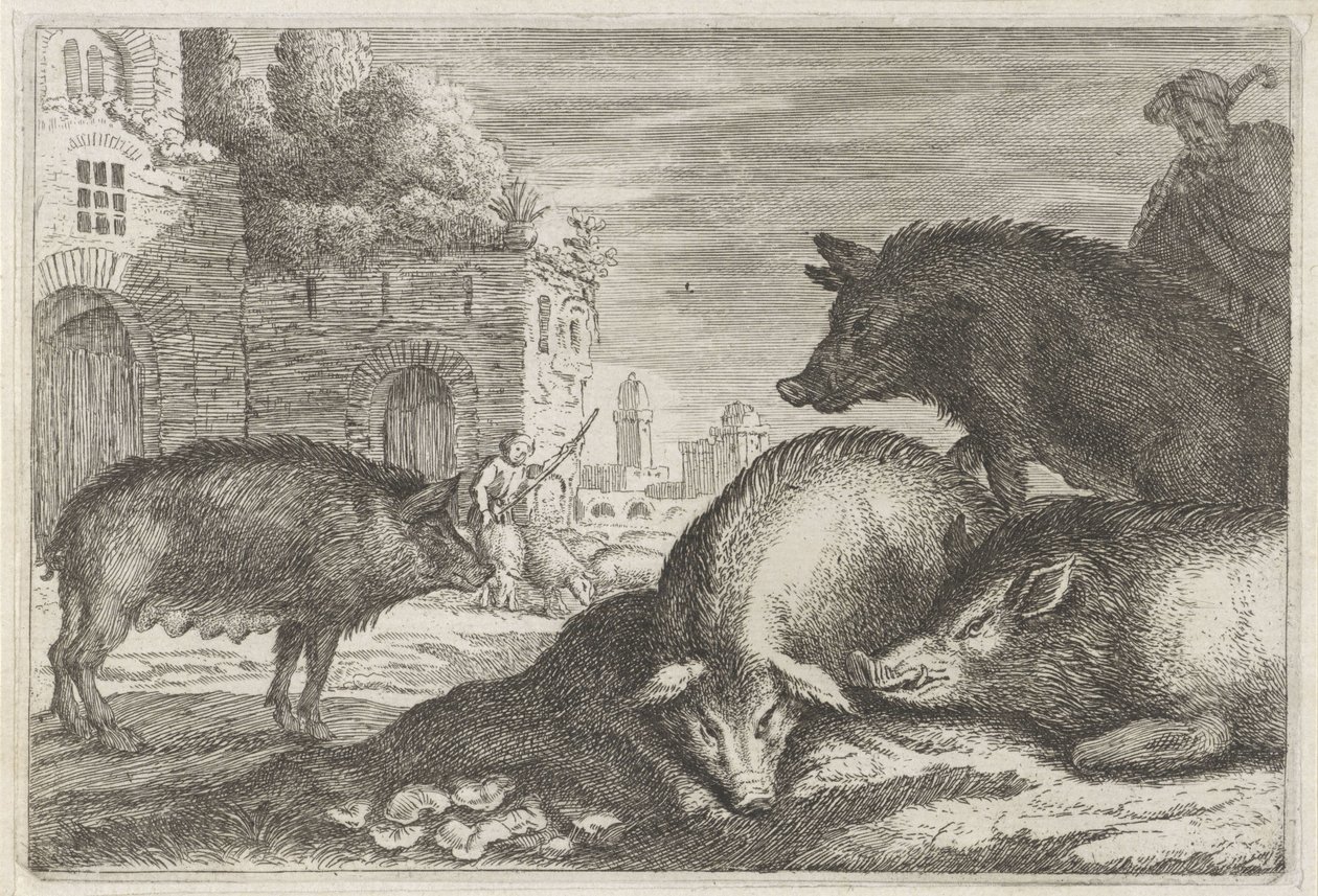 Pigs by Anonymous