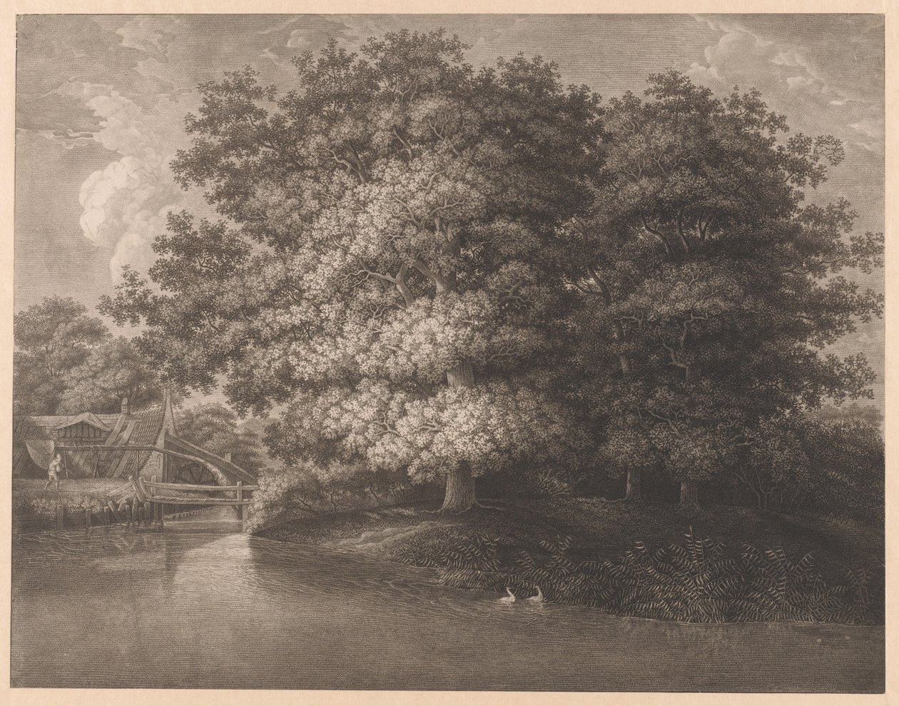 Watermill by a Large Oak by Anonymous