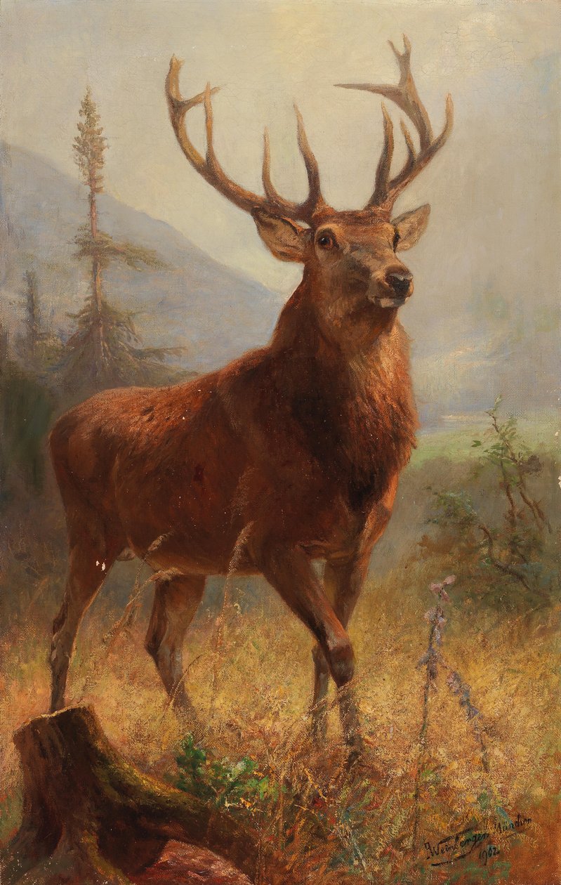 Trophy Stag in an Open Landscape by Anton Weinberger