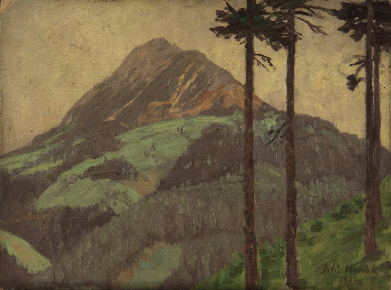 Rettenstein near Filzmoos by Anton Nowak