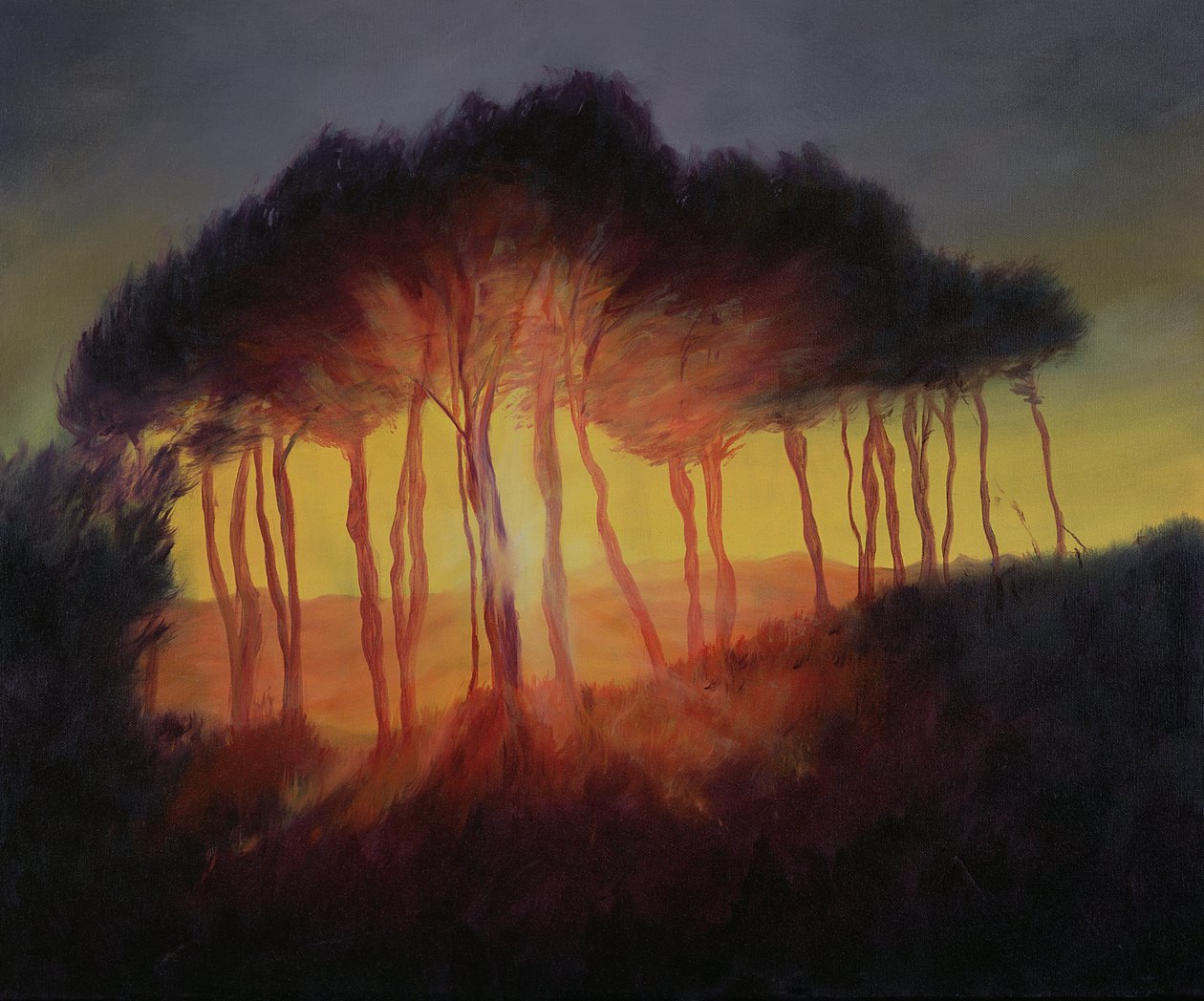 Wild Trees at Sunset by Antonia Myatt