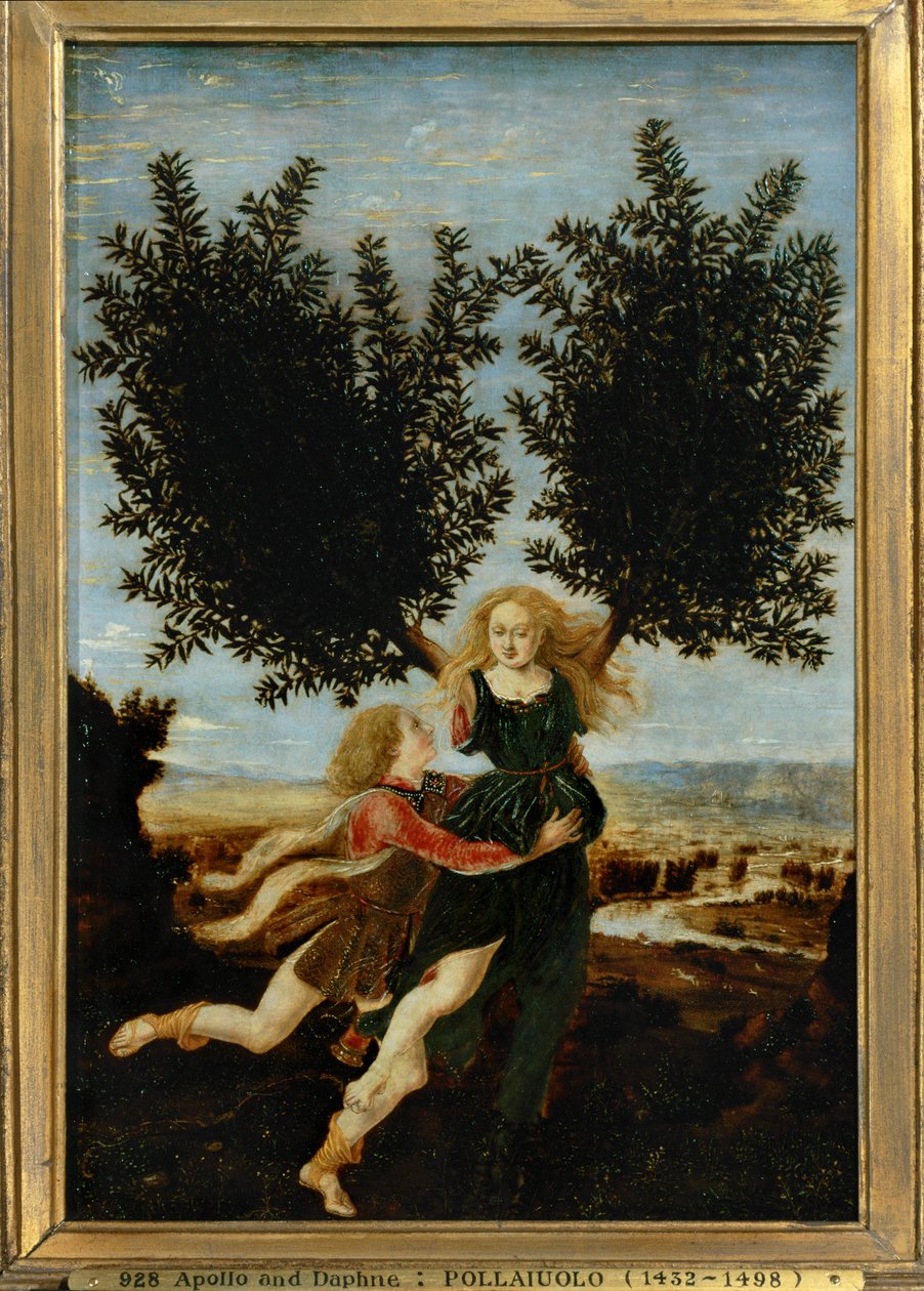 Apollo and Daphne by Antonio Pollaiuolo