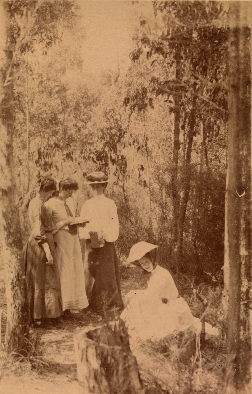 Another Camp Snap by Archibald James Campbell