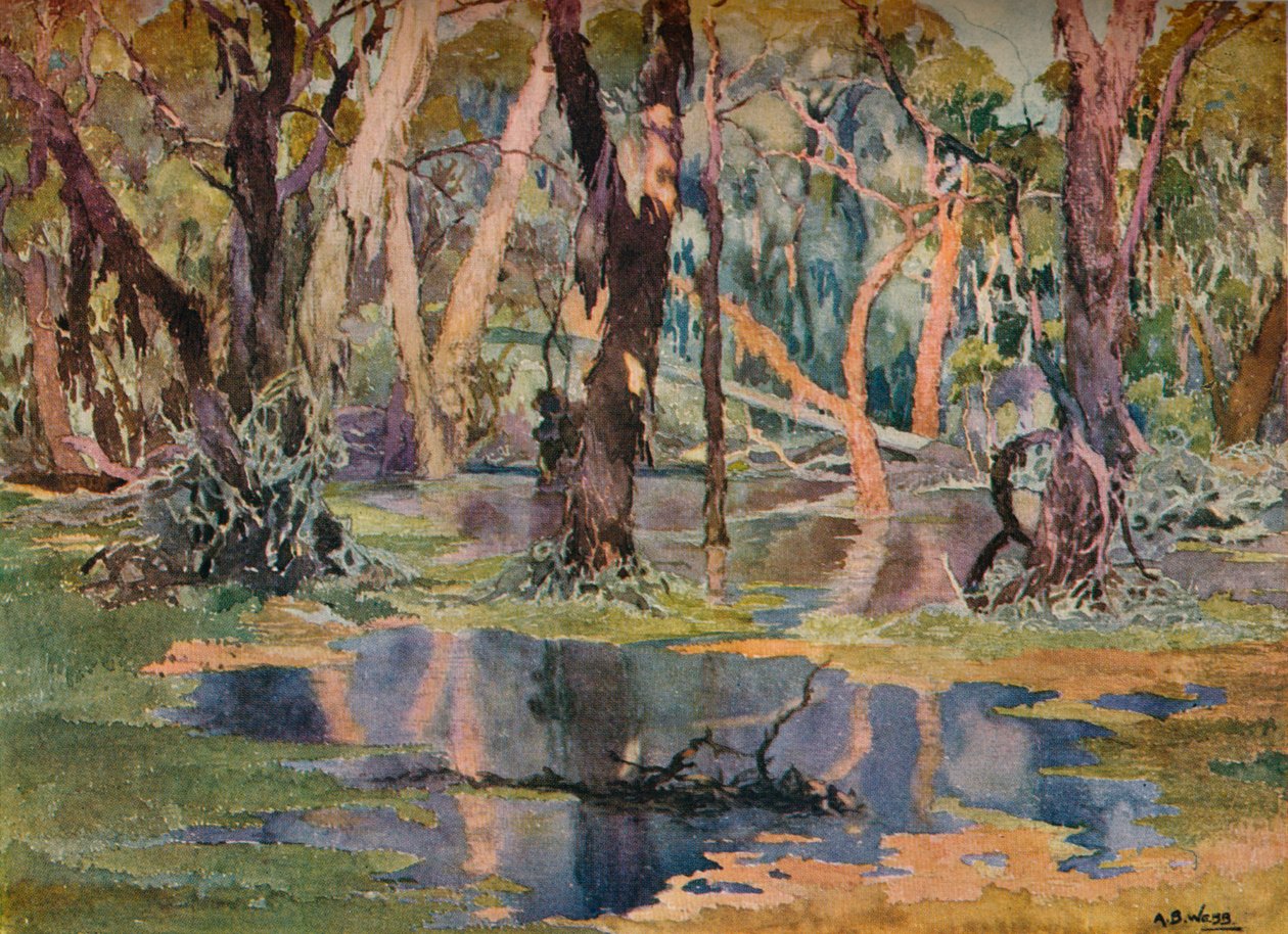 Quindanning Pool by Archibald Bertram Webb