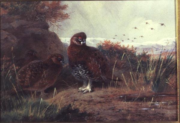 Grouse in a Winter Landscape by Archibald Thorburn