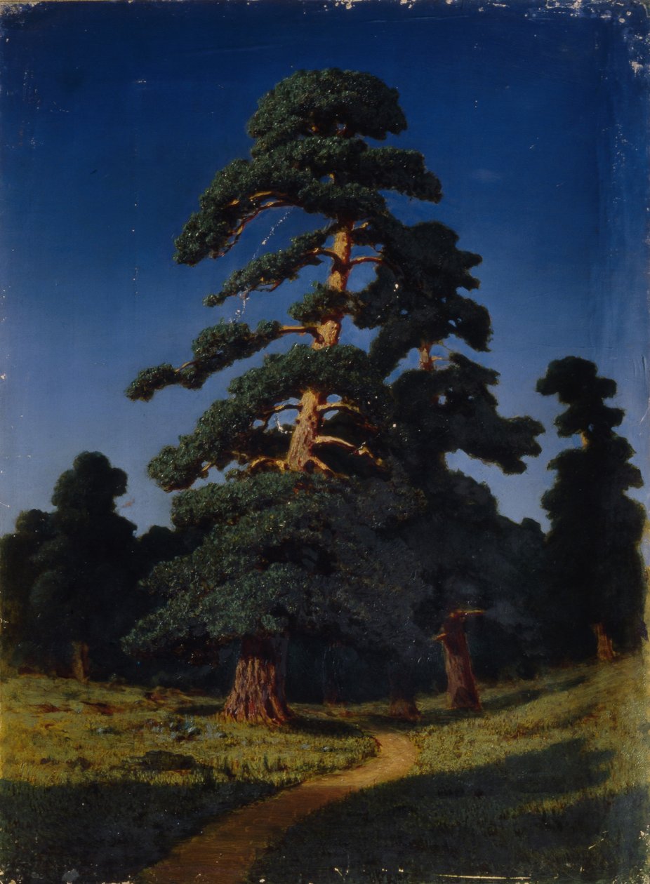 Pine Tree by Arkhip Ivanovich Kuindzhi