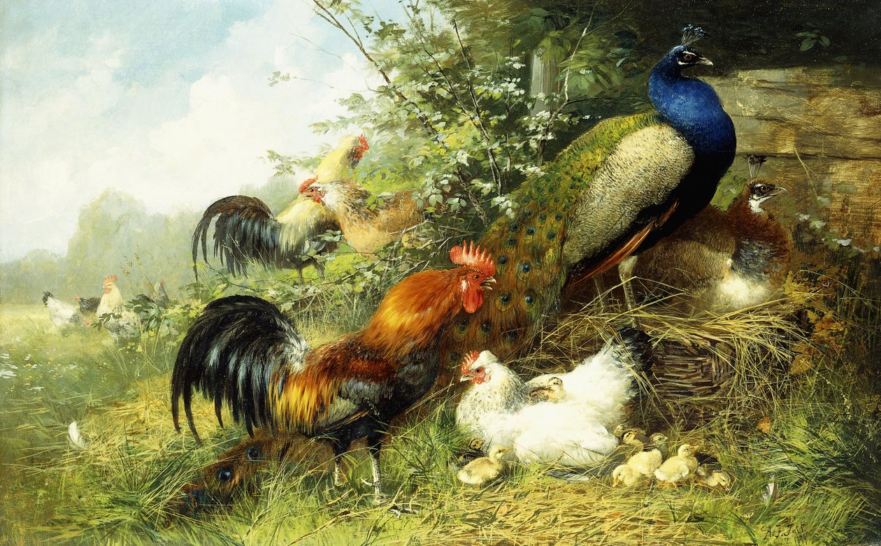 Fowl and Peacocks by Arthur Fitzwilliam Tait