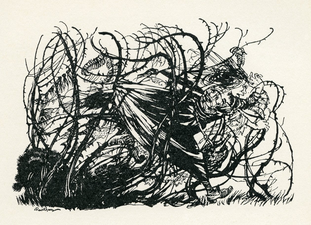 The Three Heads of the Well by Arthur Rackham