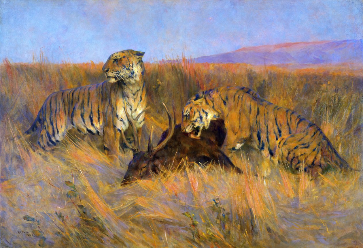Tigers at Kill by Arthur Wardle