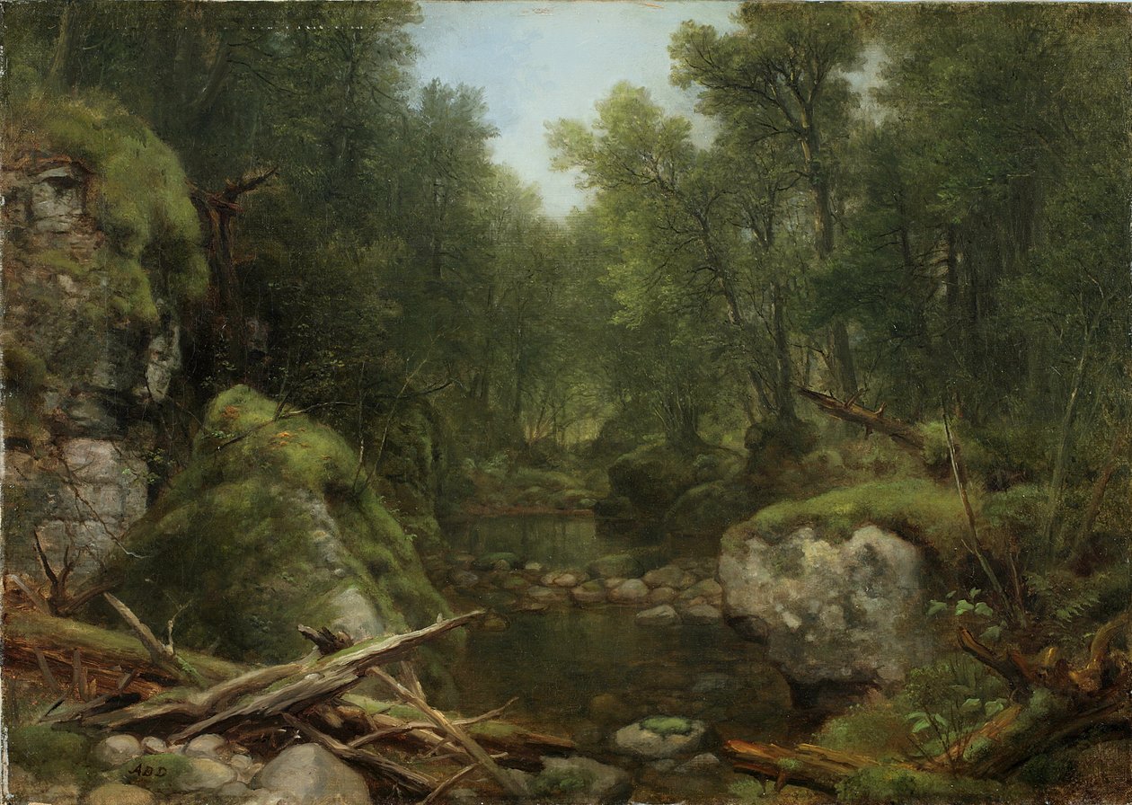 Chapel Pond Brook, Keene Flats, Adirondack Mountains, N.Y. by Asher Brown Durand