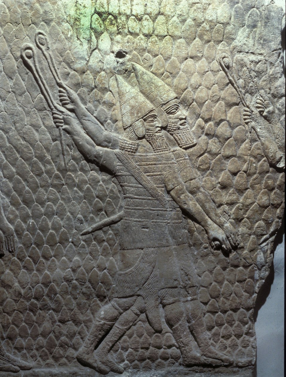 Assyrian Slingers, Sennacherib
