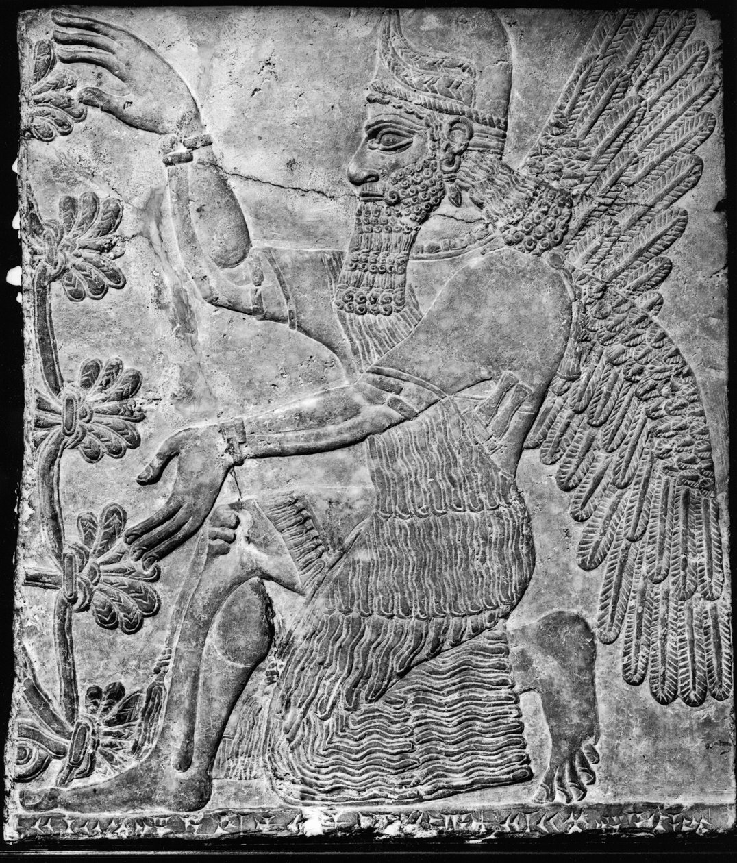Winged Genie Worshipping the Sacred Tree, from the Palace at Nimrud by Assyrian