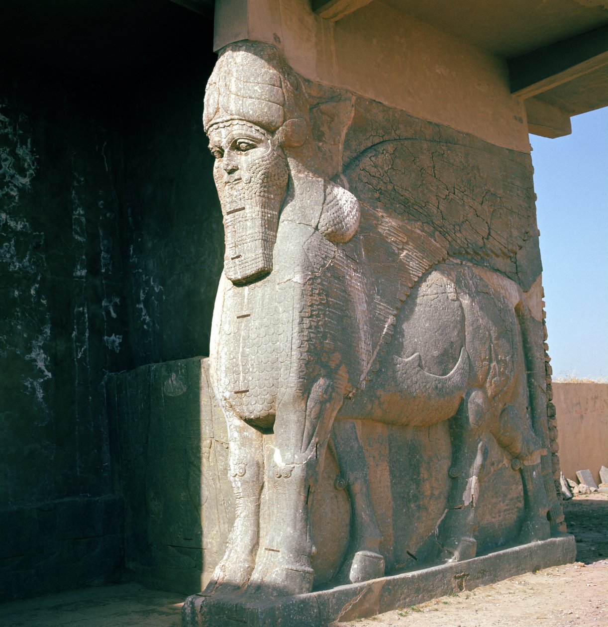 Winged human-headed bull, Neo-Assyrian Period, reign of Ashurnasirpal II by Assyrian
