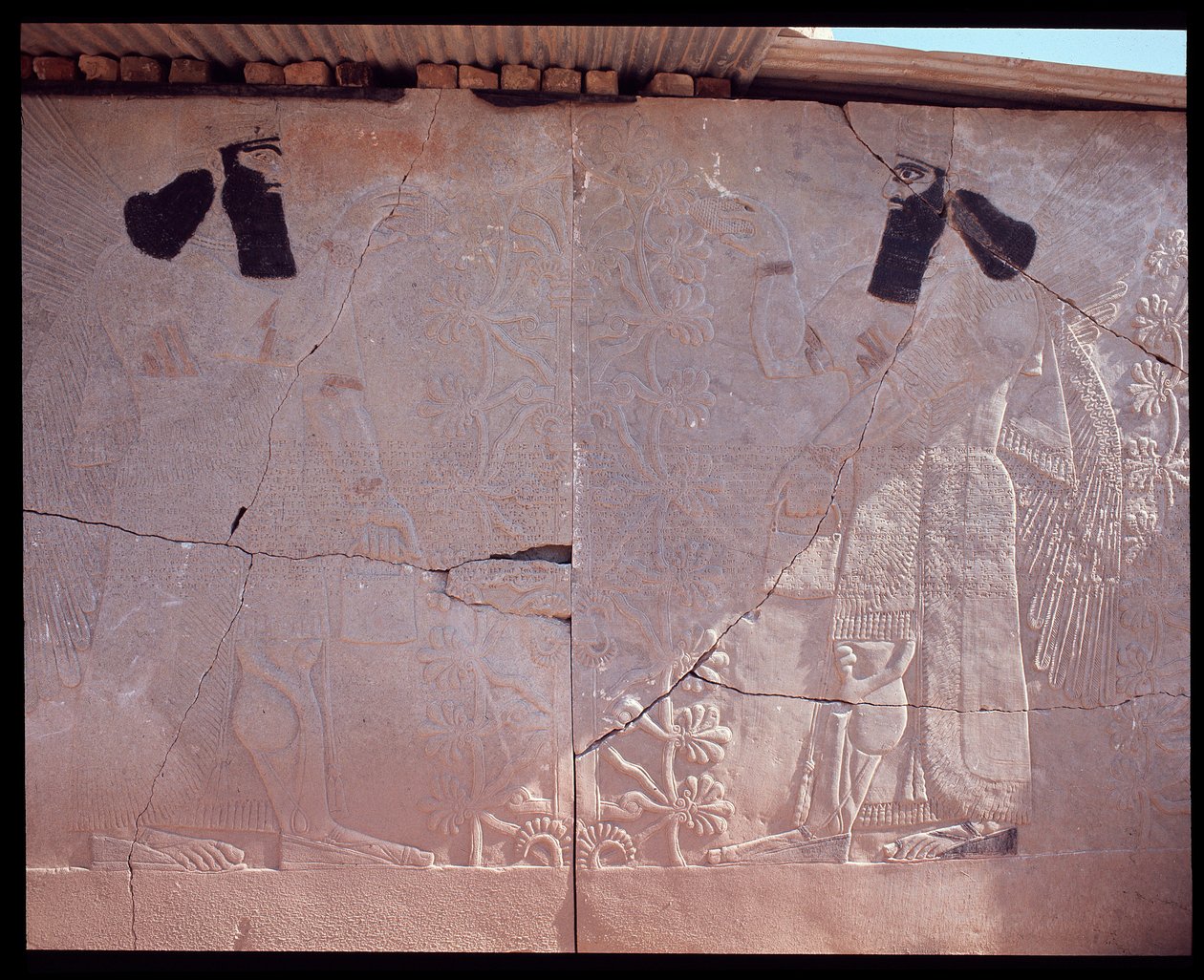 View of a Relief, 9th-7th Century BC by Assyrian