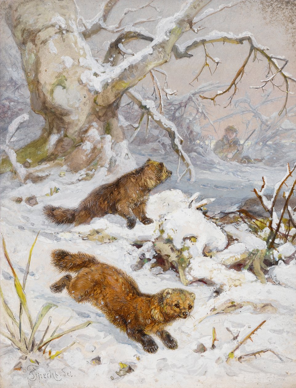 Wolverines in the Snow by August Specht