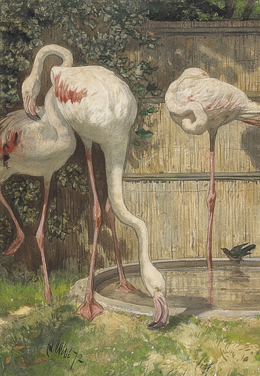 Three Flamingos at a Water Basin by August Allebe