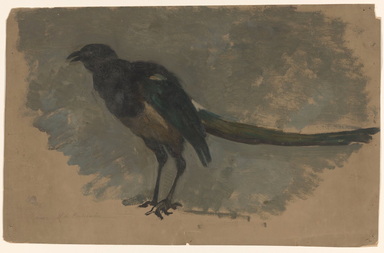 Study of a Magpie by August Allebe