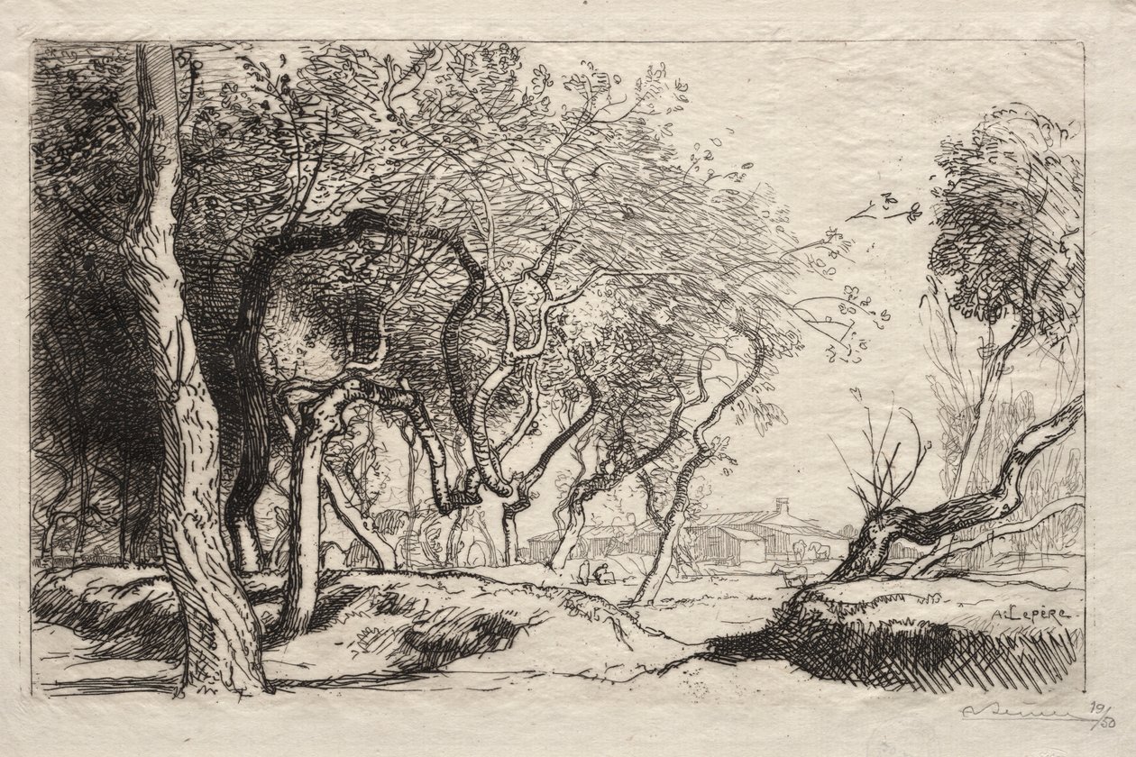 The Twisted Tree by Auguste Louis Lepère