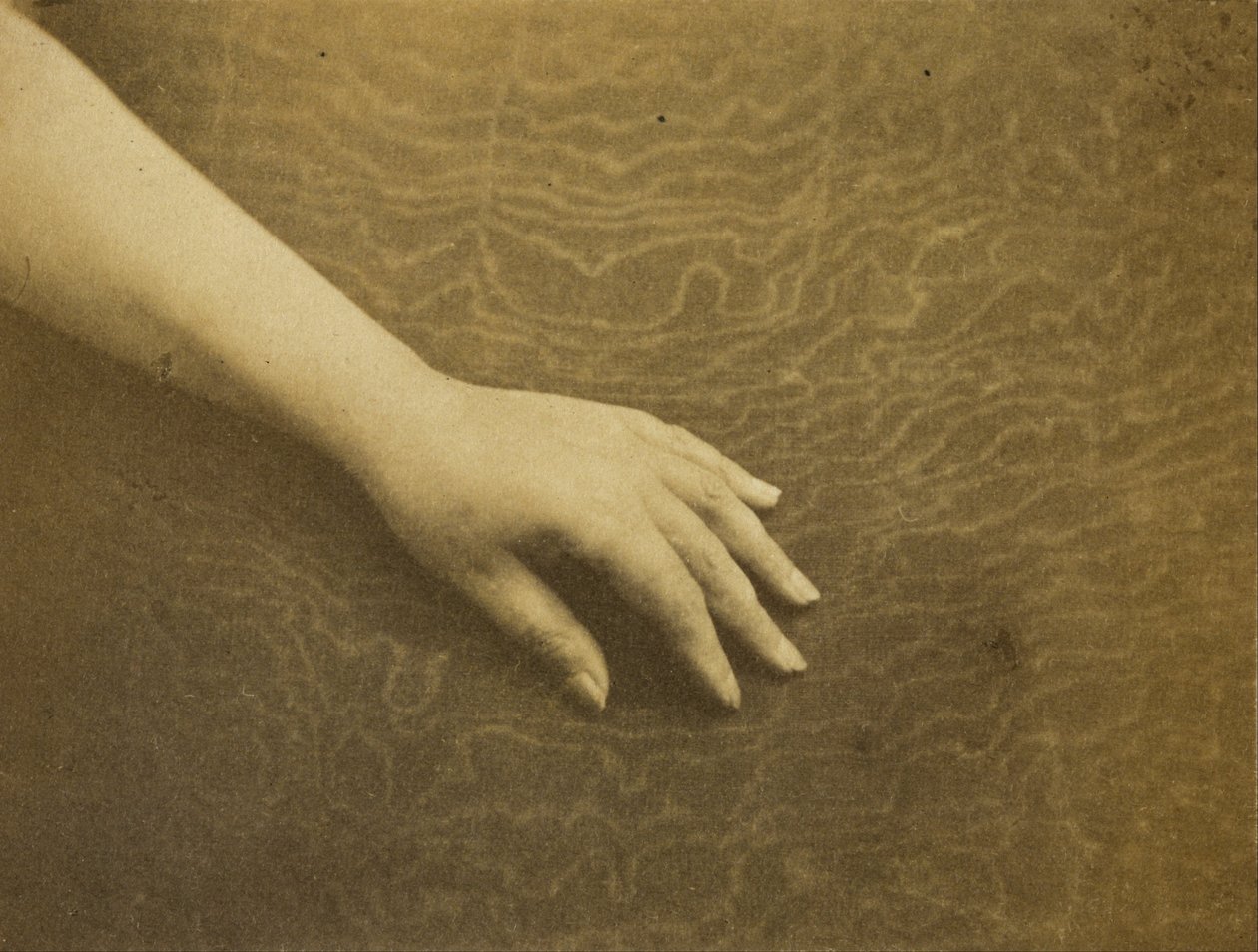 The Hand of Madame Hugo by Auguste Vacquerie
