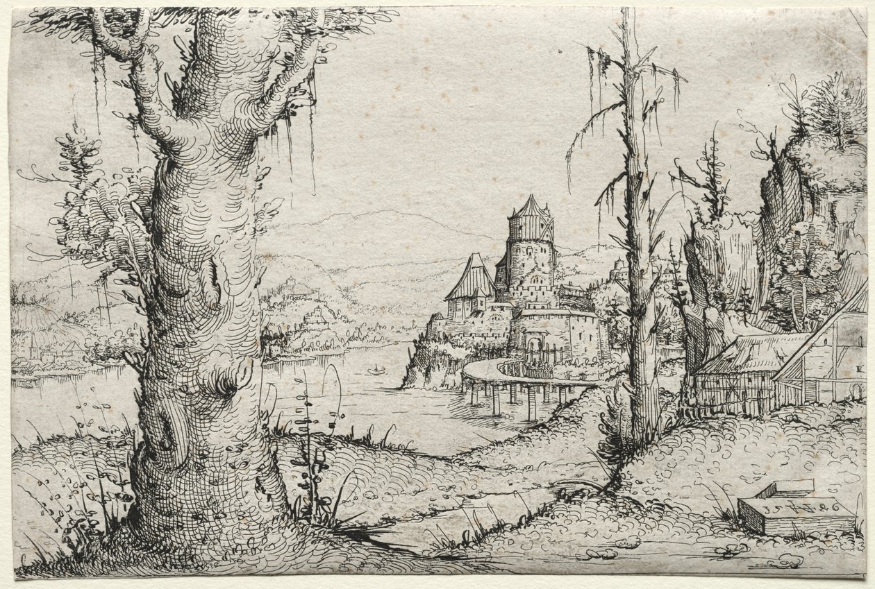 River Landscape with Large Tree at Left by Augustin Hirschvogel