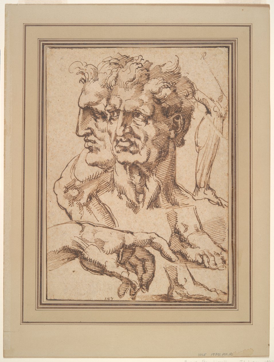 Sheet of Studies by Baccio Bandinelli