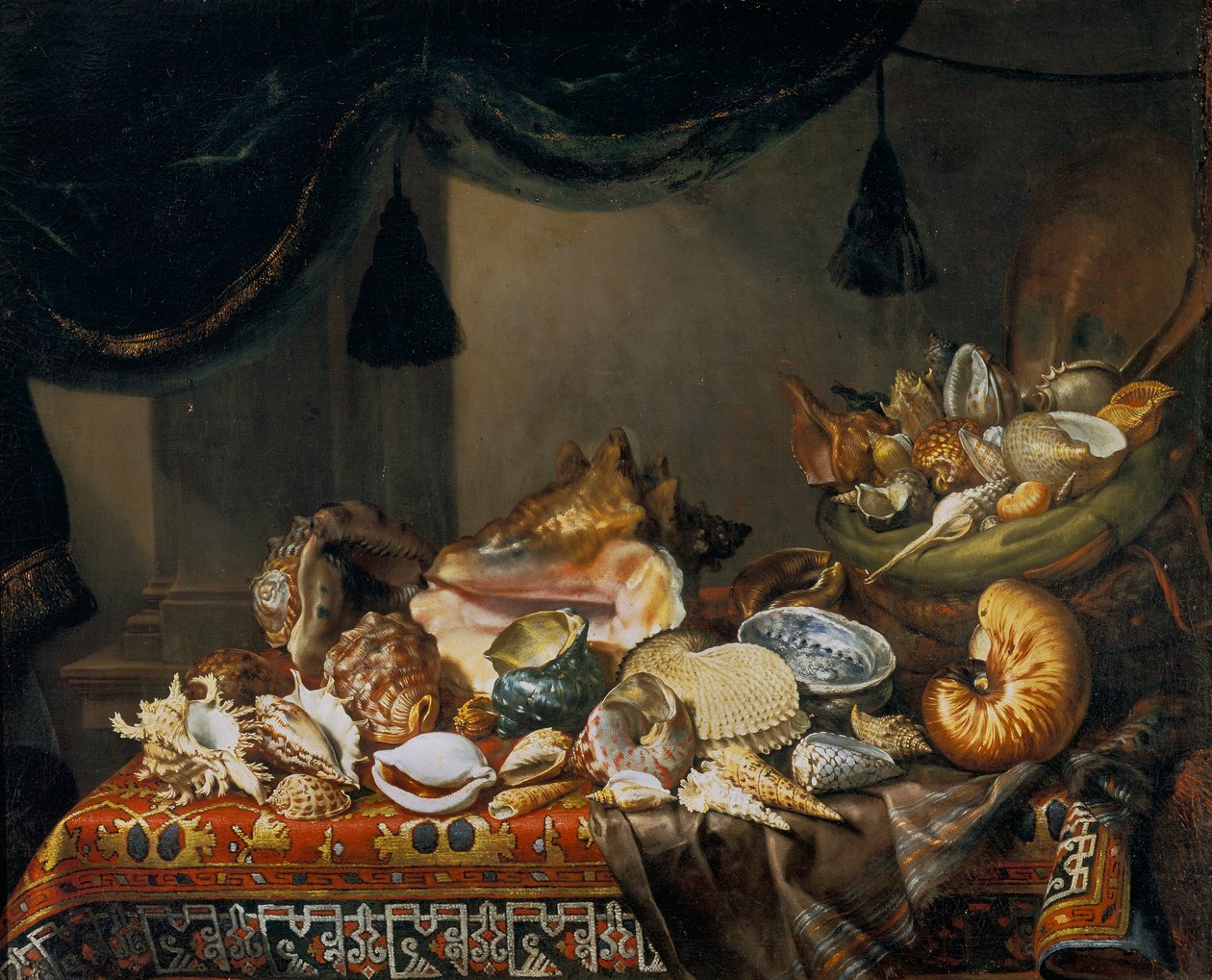 Still-Life with Shells by Bartolomeo Bimbi