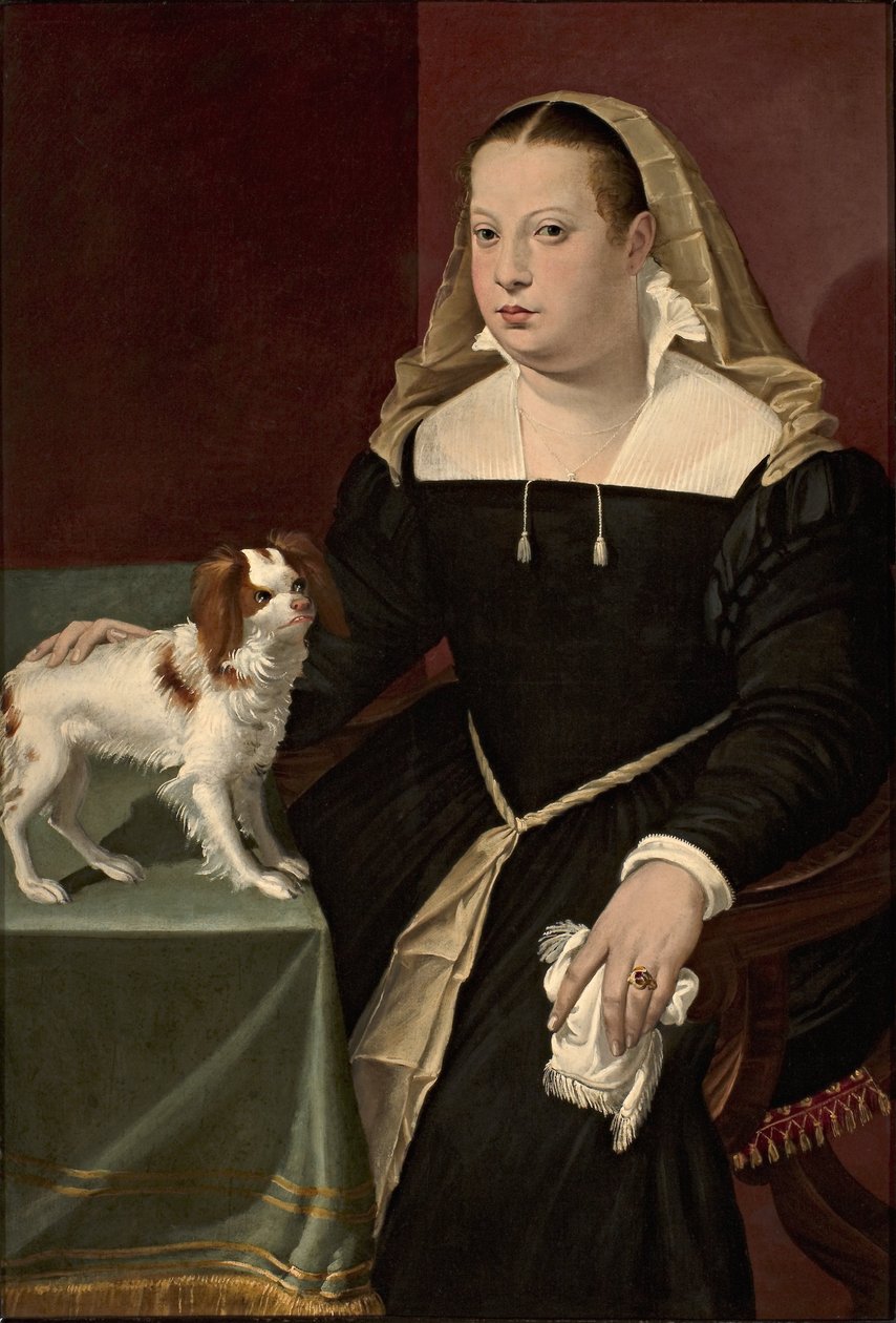 Portrait of a Lady with a Dog by Bartolomeo Passarotti