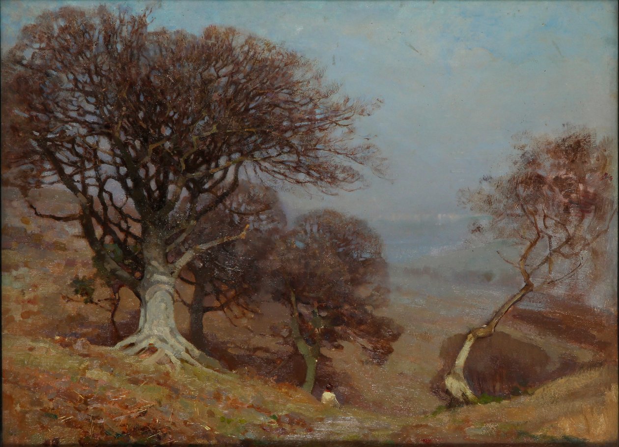 Beeches on the Quantocks by Benjamin Haughton