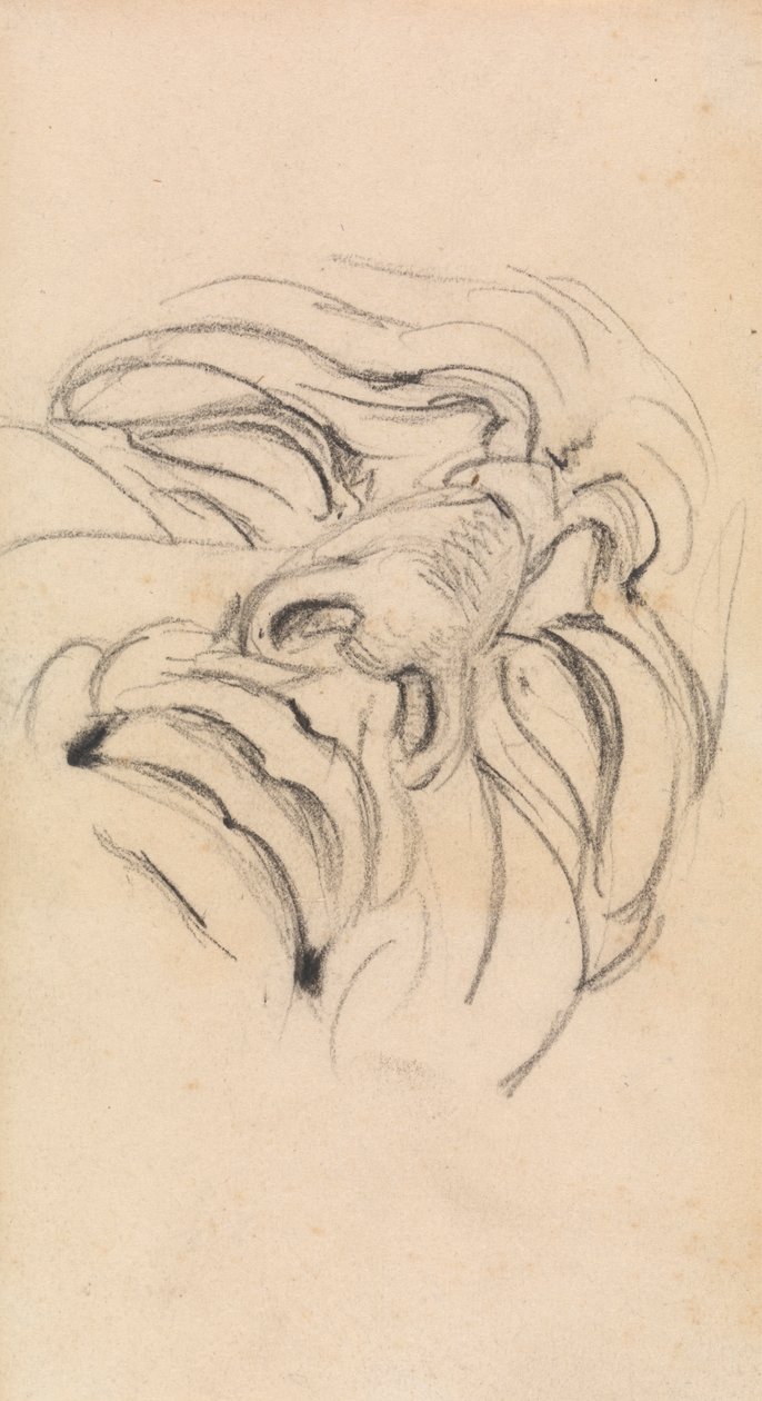 Study of a Man