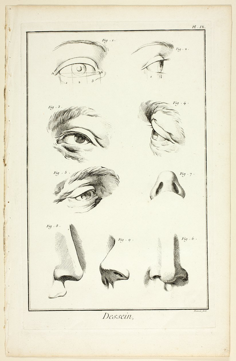 Design: Facial Anatomy from Encyclopédie by Benoit Louis Prevost