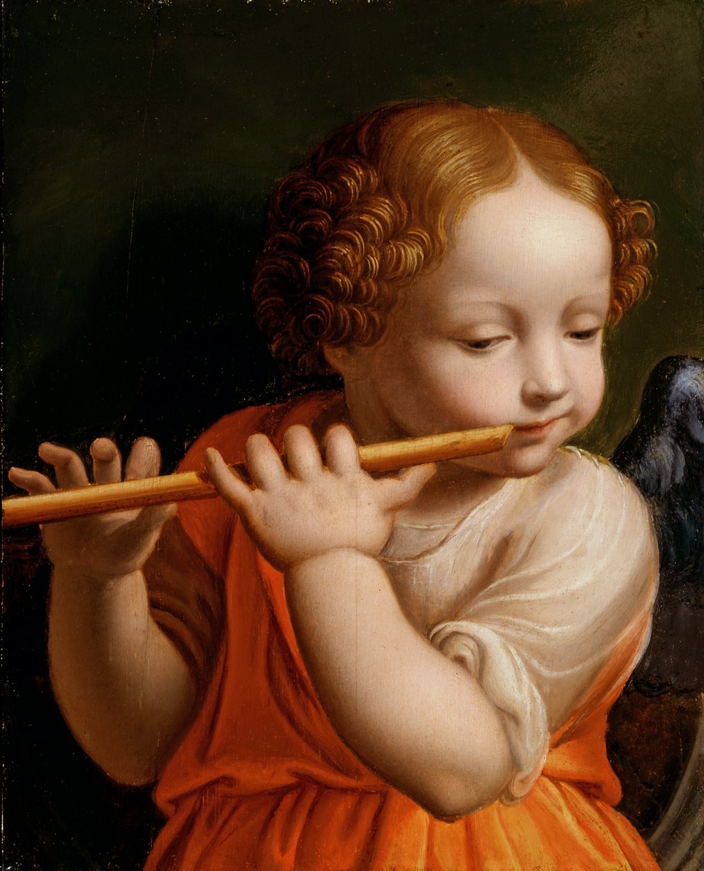 Child Angel Playing a Flute by Bernardino Luini