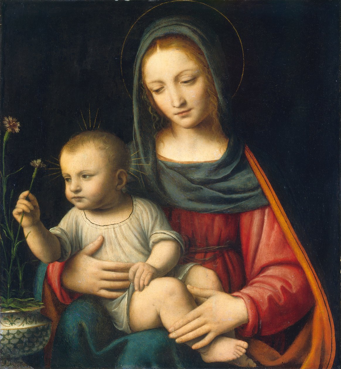 The Madonna of the Carnation, c.1515 by Bernardino Luini