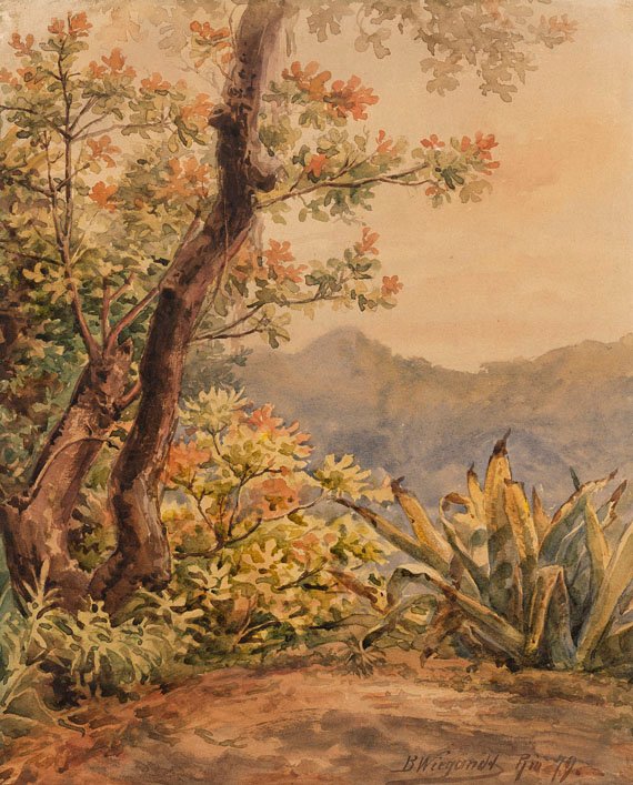 Brazilian Landscape with Agave by Bernhard Wiegandt