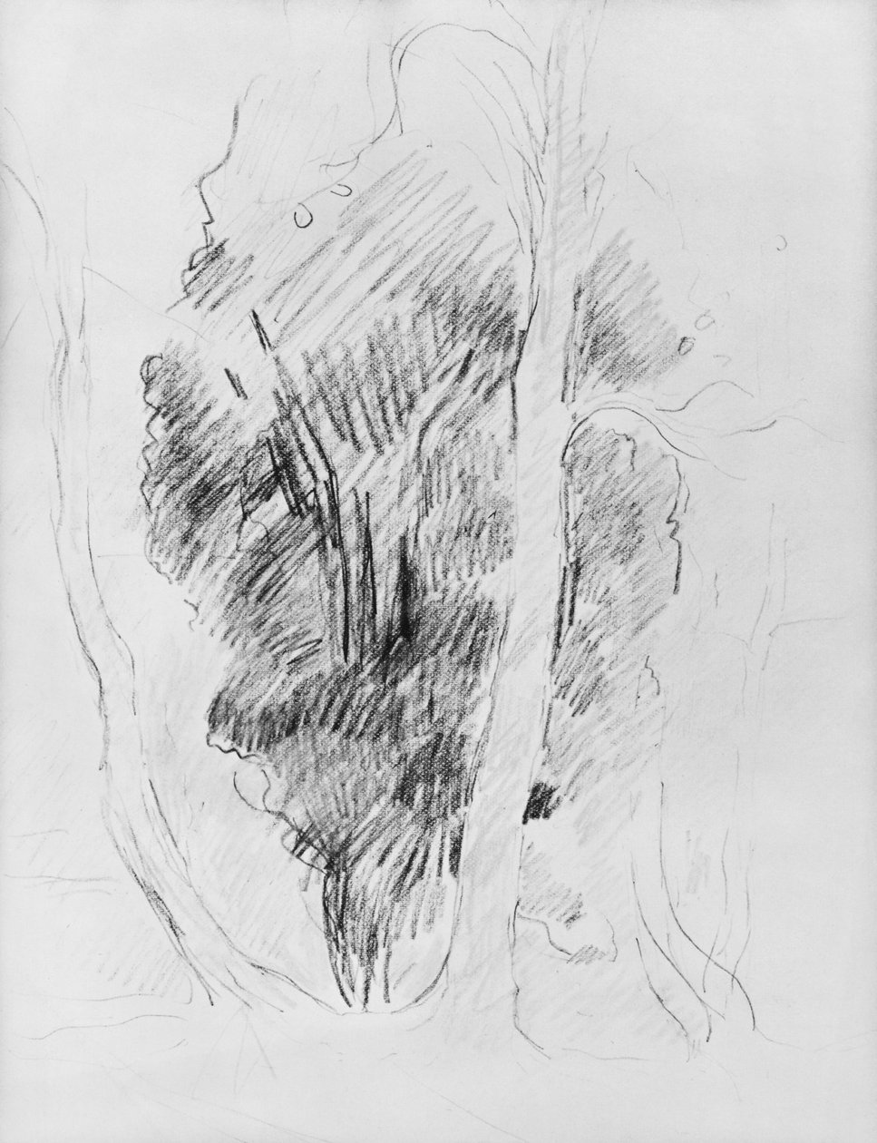 Study of trees by Berthe Morisot