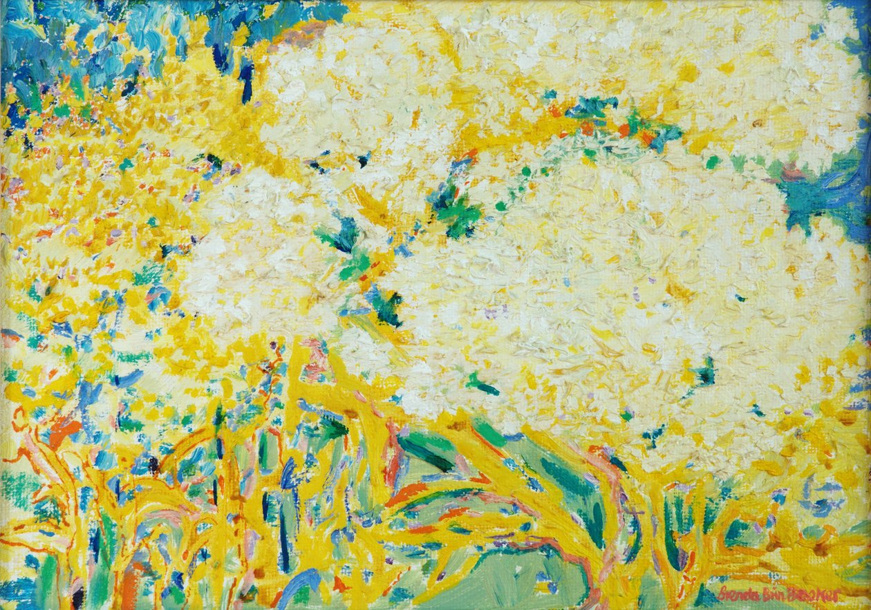 The Elderflower Tree by Brenda Brin Booker