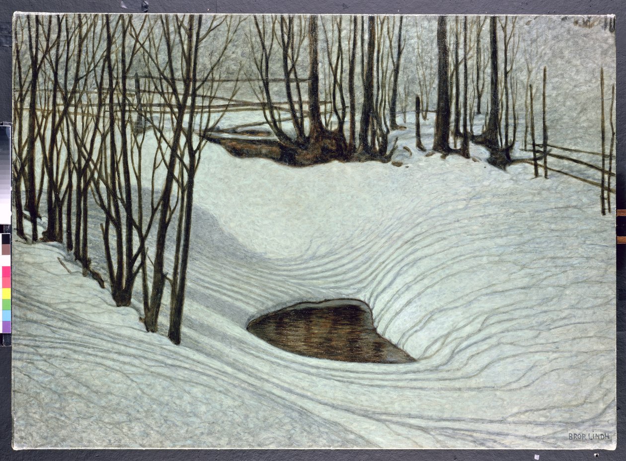 Forest in Winter by Bror Lindh