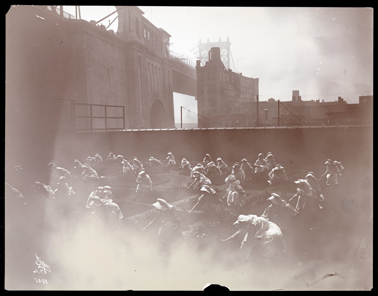 Girls working on a rooftop vegetable garden, Manhattan Bridge visible beyond, New York, 1910 by Byron Company
