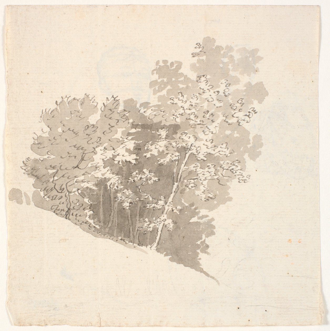 Tree Group by C.A. Lorentzen