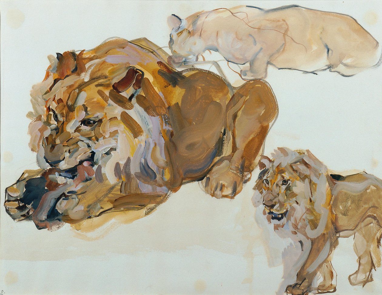 Animal Study from Schönbrunn by Carl Fahringer