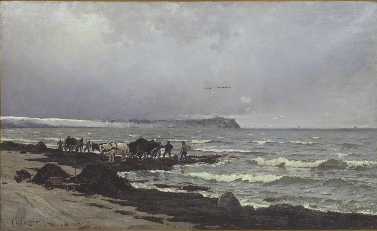 Loading Seaweed at Hornbæk Beach by Carl Locher