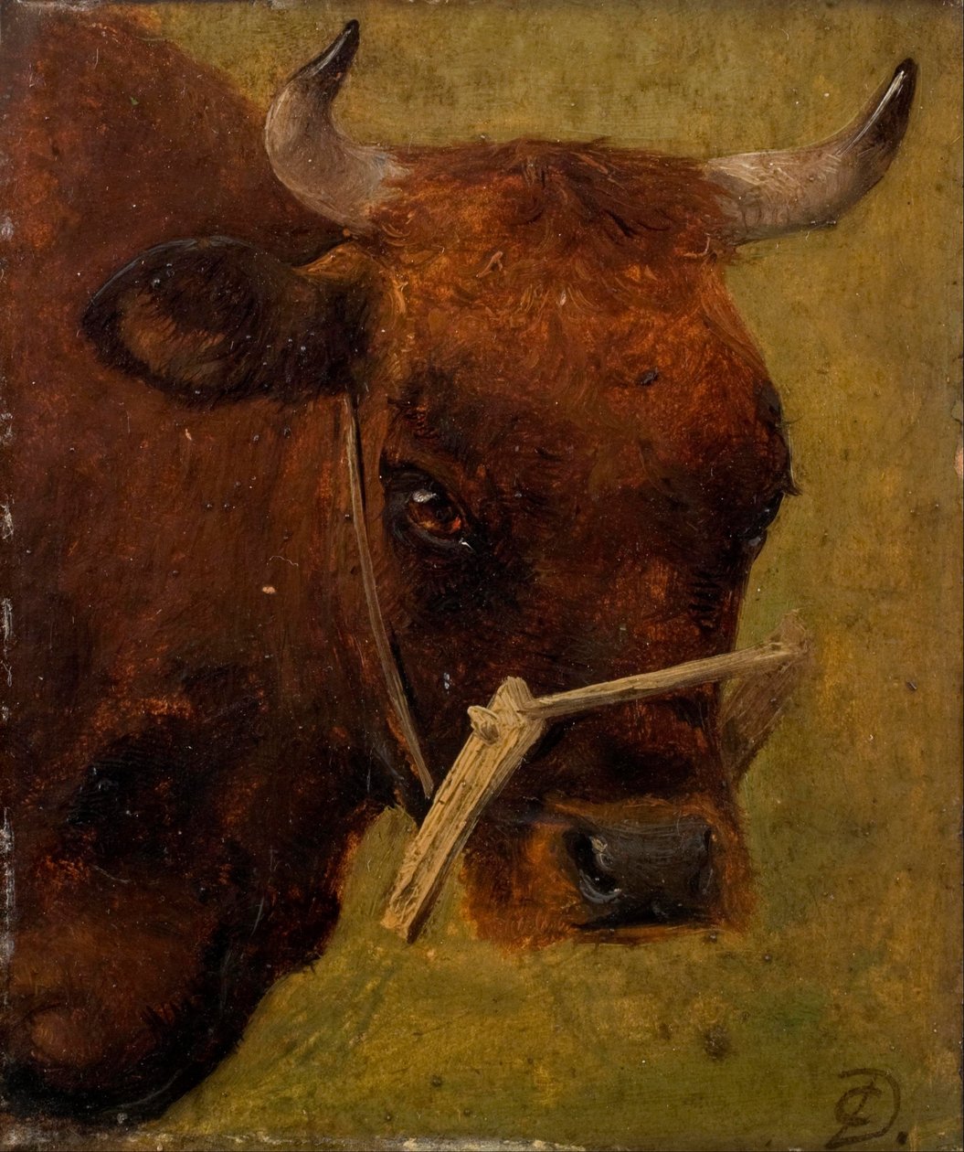 Head of a cow (Study) by Carlo Dalgas