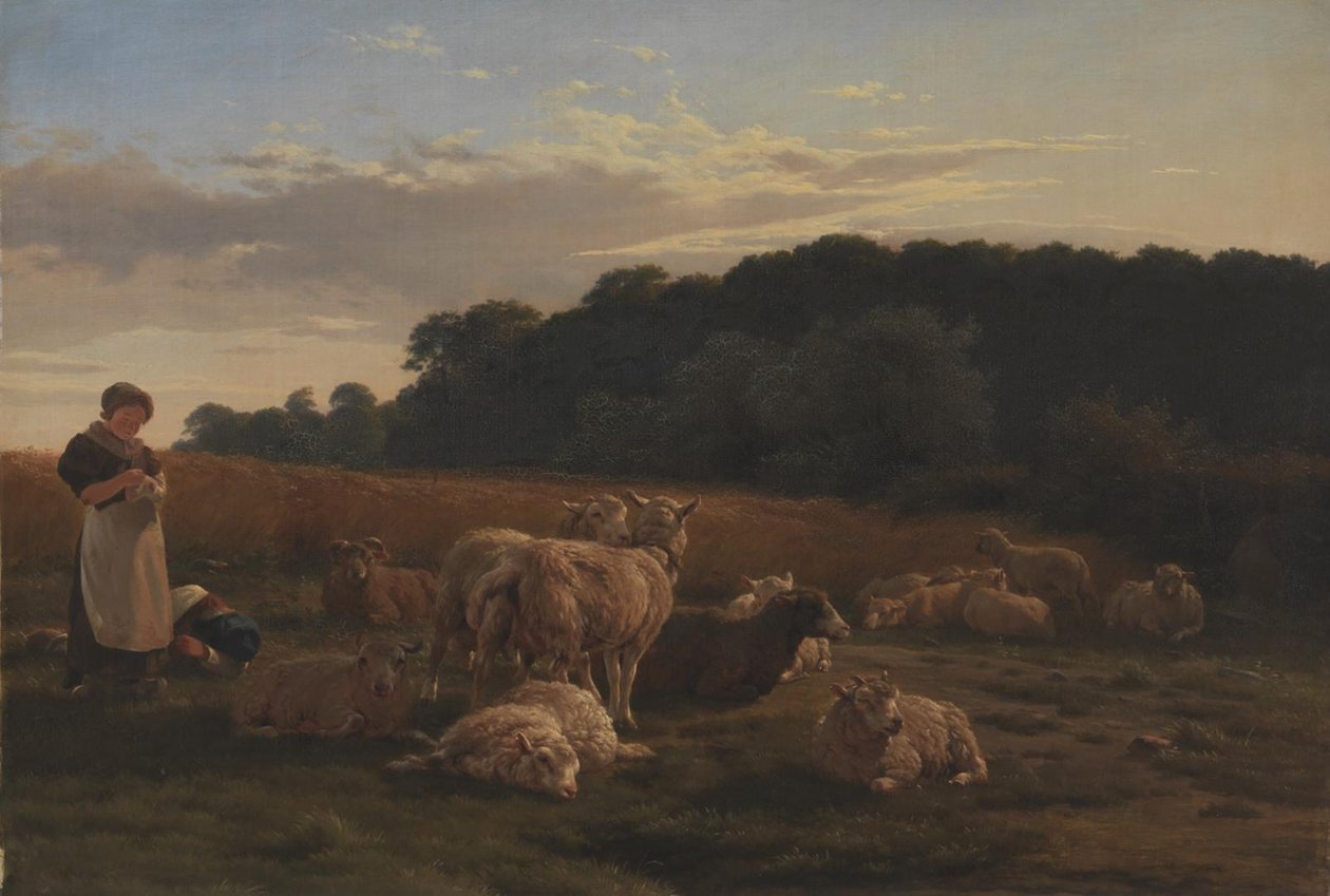 A Flock of Sheep. The Motif from Faxingeskoven near Nysø by Carlo Dalgas