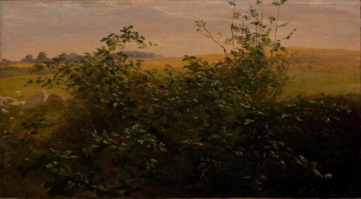 Hedge with Blackberry by Carlo Dalgas