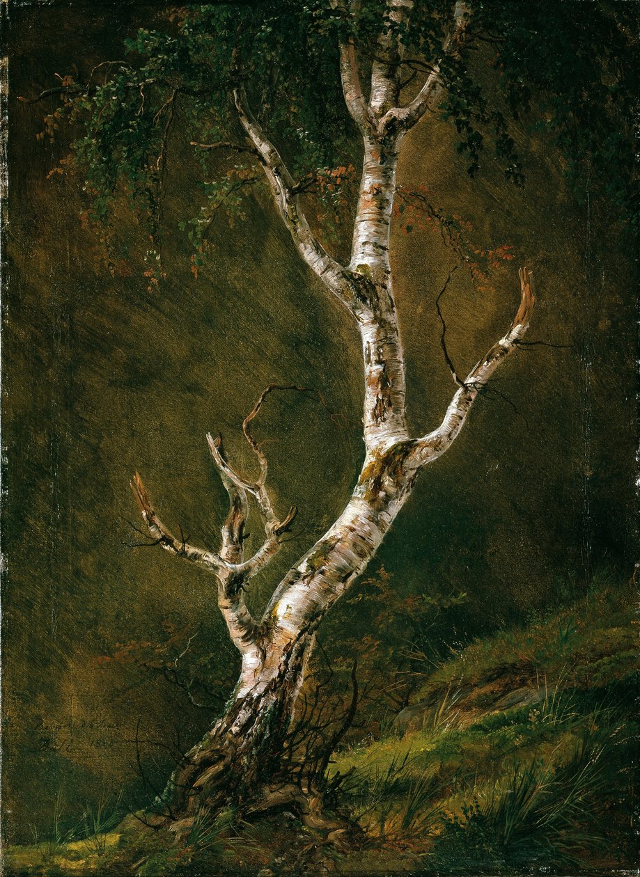 Study of a Birch Tree by Caspar David Friedrich