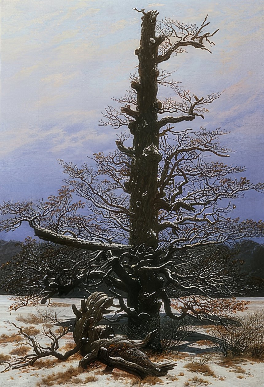 Oak Tree in the Snow by Caspar David Friedrich
